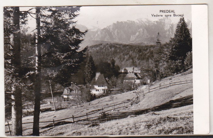 bnk cp Predeal - Vedere spre Bucegi - circulata