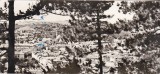 bnk cp Dej - Vedere - uzata