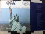 GIANNA NANNINI CALIFORNIA 1979 disc vinyl lp muzica pop rock insert ricordi vg+