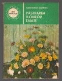 (C6969) ALEXANDRINA AMARIUTEI - PASTRAREA FLORILOR TAIATE