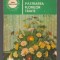 (C6969) ALEXANDRINA AMARIUTEI - PASTRAREA FLORILOR TAIATE