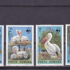 Romania ,Pelicani WWF ,nr lista 1116.