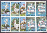 Romania ,Pelicani WWF bloc 4 ,nr lista 1116., Nestampilat