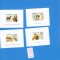 SET 4 COLITE CONGO 1999 CAINI NED .100 E