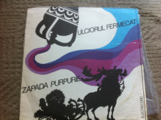 ulciorul fermecat zapada purpurie disc vinyl lp povesti pentru copii exe 2066 foto