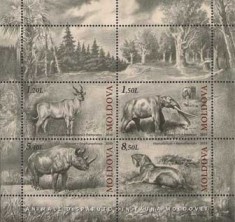 MOLDOVA 2010, Fauna, bloc neuzat, MNH foto