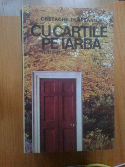 n2 Costache Olareanu - Cu cartile pe iarba