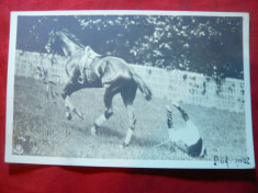 Ilustrata clasica - Jocheu trantit de cal ,circ.1905 Spic Grau ,goarna 111 foto