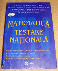 Matematica Testare Nationala / clasele V - VIII - Ghioca / Matrosenco / Pop foto