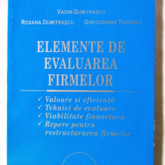 "ELEMENTE DE EVALUAREA FIRMELOR", Vadim Dumitrascu s.a., 2002