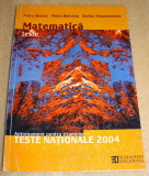 Matematica teste nationale 2004 - Simion / Boteanu / Smarandache