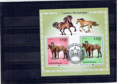 Guinea - Bissau - Mustangs foto