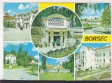 Bnk cp Borsec - Vedere - circulata, Printata