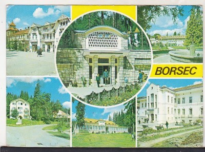 bnk cp Borsec - Vedere - circulata foto