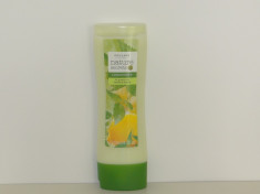 Balsam pentru par gras cu extracte din urzica si lamaie Nature Secrets 250 ml foto