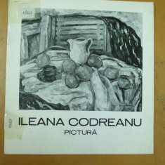 Ileana Codreanu pictura catalog expozitie Bucuresti 1982 Caminul Artei