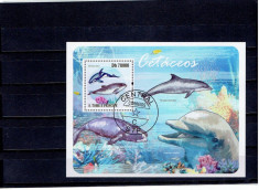 Sao Tome e Principe - dolphins foto