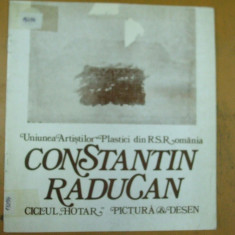 Constantin Raducan pictura desen catalog expozitie 1983 Bucuresti Caminul Artei