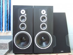 Boxe Infinity SM-255 foto