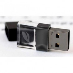 Leef Ice USB 2.0 Stick 8GB schwarz foto