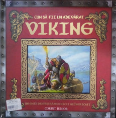 Ari Berk - Cum sa fii un adevarat viking - 672586 foto