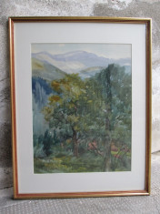Sinaia, acuarela de Eliza Popescu Ziziade, pictura peisaj montan Sinaia foto