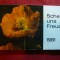 Set 14 Ilustrate -in Calendar 1981 - FLORI - RFG
