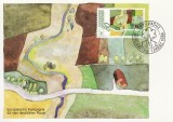 5412 - Lichtenstein 1988 - carte maxima
