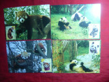 Set 4 Maxime -Fauna - Ursi Panda - Protectia Naturii 2010 Bulgaria