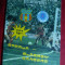 Program Meci Fotbal Steaua- Glasgow Rangers 1988 Cupa Camp.Europeni III