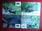 Set 4 Maxime - Fauna -Broaste Testoase- 1999 Bulgaria