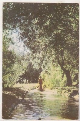 bnk cp Canal in Delta Dunarii - Vedere - circulata foto