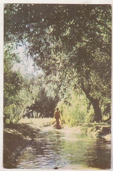 bnk cp Canal in Delta Dunarii - Vedere - circulata