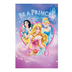 COVOR DISNEY BE A PRINCES 120X160CM foto