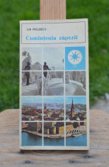 Carte - Cumintenia zapezii - Lia Miclescu ( Colectia: Mapamond Nr. 41 ) #189 foto