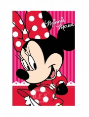 PROSOP DE MAINI MINNIE MOUSE foto