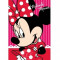 PROSOP DE MAINI MINNIE MOUSE