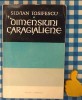 Dimensiuni caragielene Silvian Iosifescu