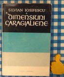 Dimensiuni caragielene Silvian Iosifescu