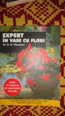 Expert in vase cu flori / gradinarit/an 2005/ilustratii/128pagini foto