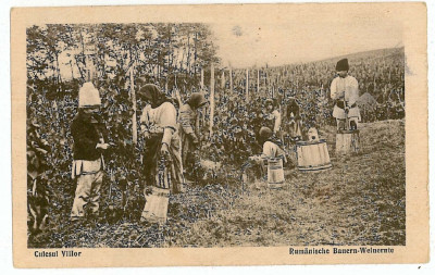 3403 - ETHNIC, Peasants from VINTAGE - old postcard - unused foto