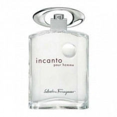 Salvatore Ferragamo Incanto Pour Homme eau de Toilette pentru barbati 100 ml Tester foto