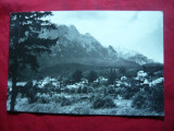 Ilustrata Busteni cu reclama pt. Sarbatoarea 23 August 1959