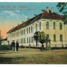 1613 - CALAFAT, Dolj, Monument Bratianu, school - old postcard - unused - 1933