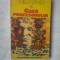 (C327) WILLA CATHER - CASA PROFESORULUI