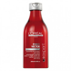 L&amp;#039;oreal Sampon Force Vector 250 ml foto