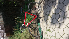 Bicicleta cursiera foto