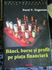 Banci, burse si profit pe piata financiara - Pavel Ungurean foto