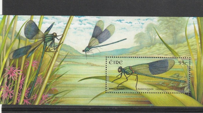 Fauna libelule Irlanda.