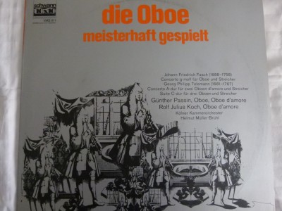 Oboe - meiterhaft gespielt foto